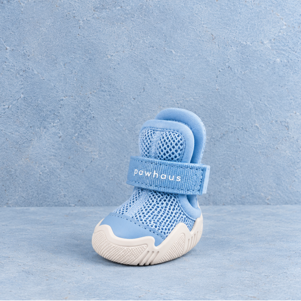 AirPaws™ Series 001 — Sky Blue [Basic]