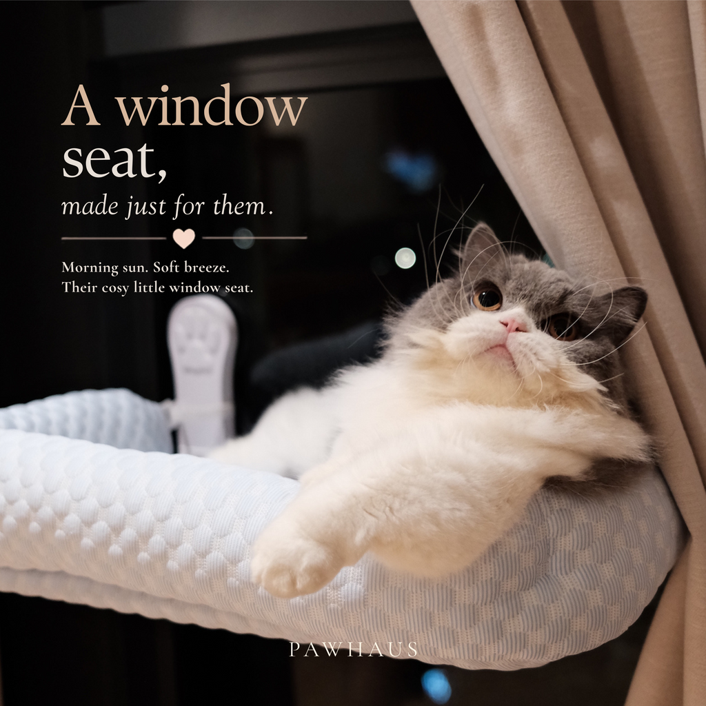Window Perch | Cooling Window Hammock