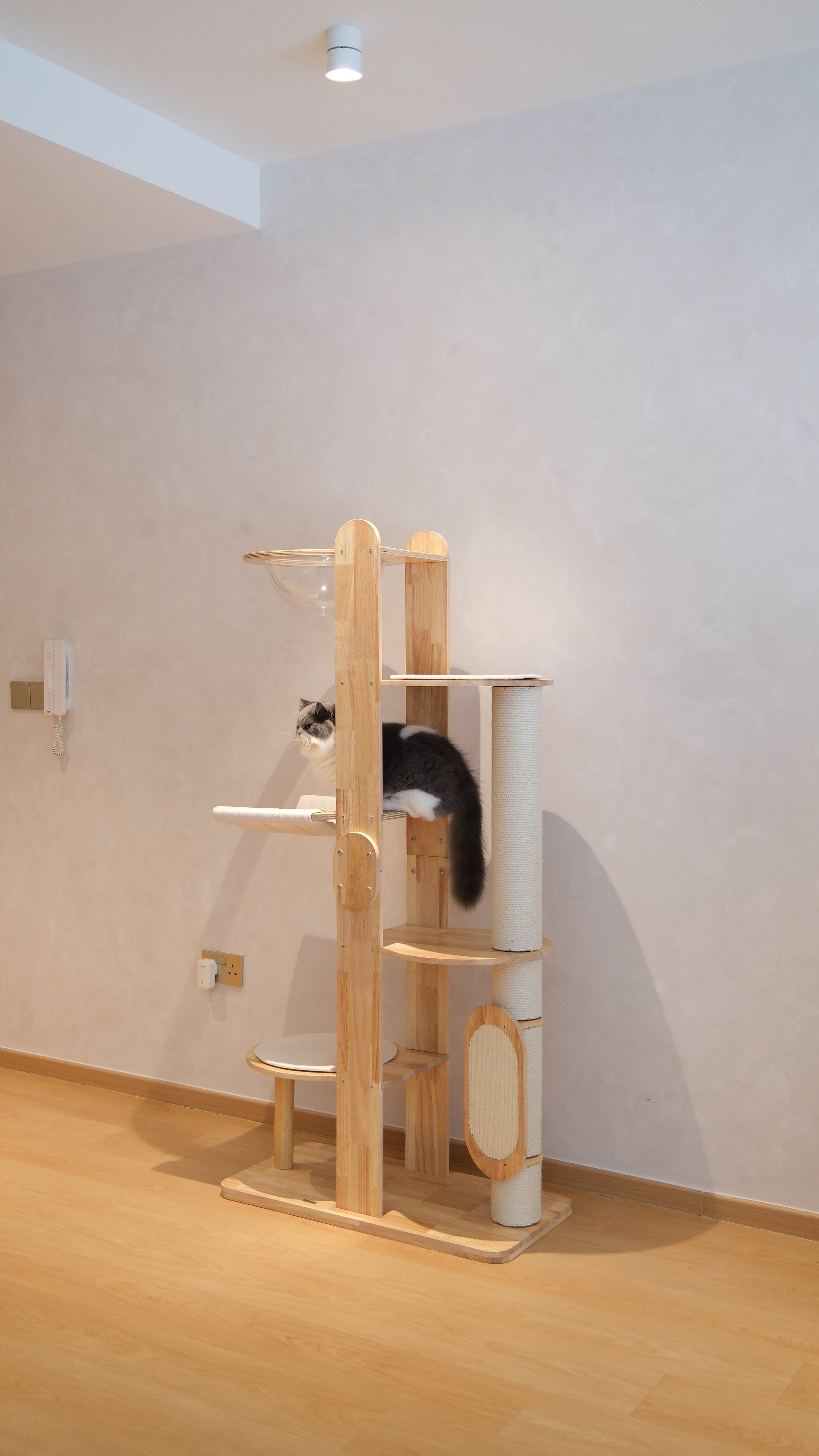 Purrch Club - Loft