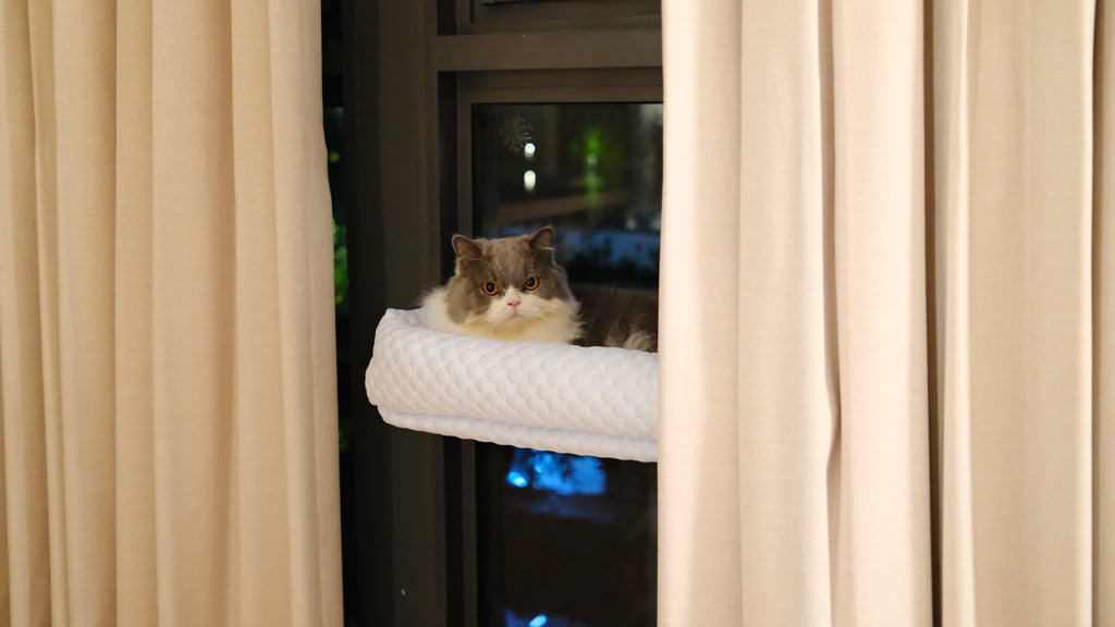 Window Perch | Cooling Window Hammock