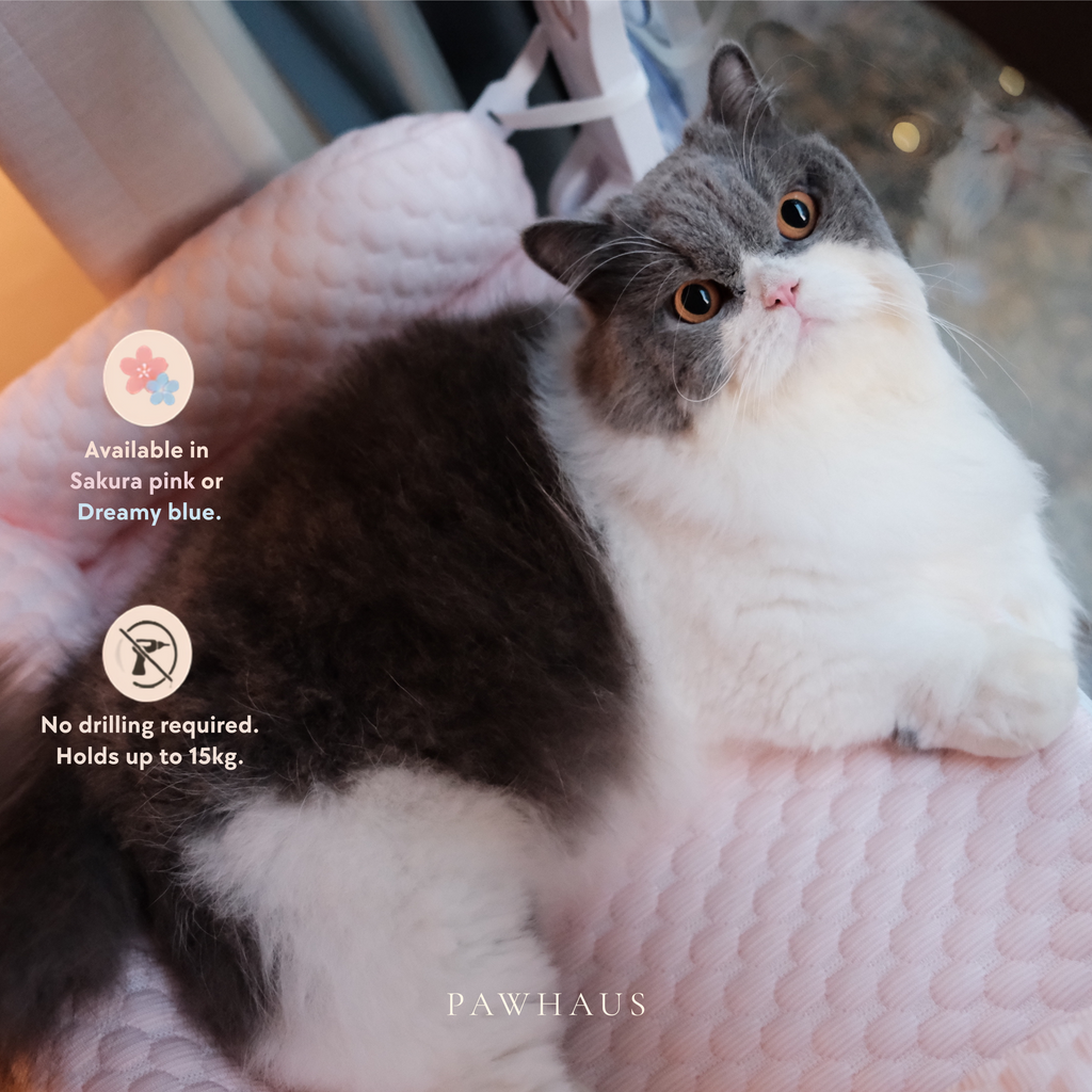 Window Perch | Cooling Window Hammock