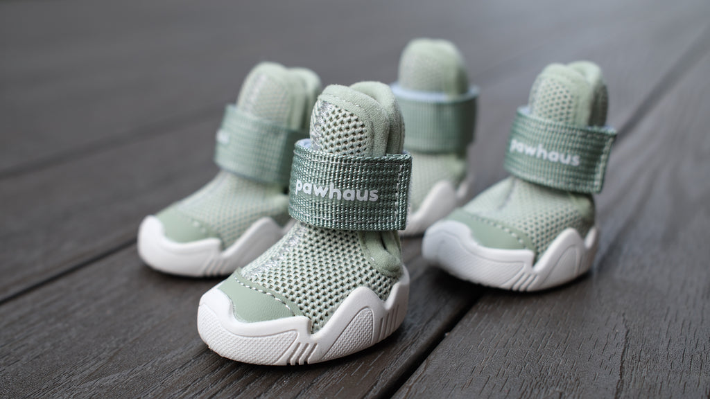 AirPaws™ Series 001 — Lightweight Breathable Dog Shoes