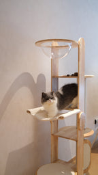 Purrch Club - Loft