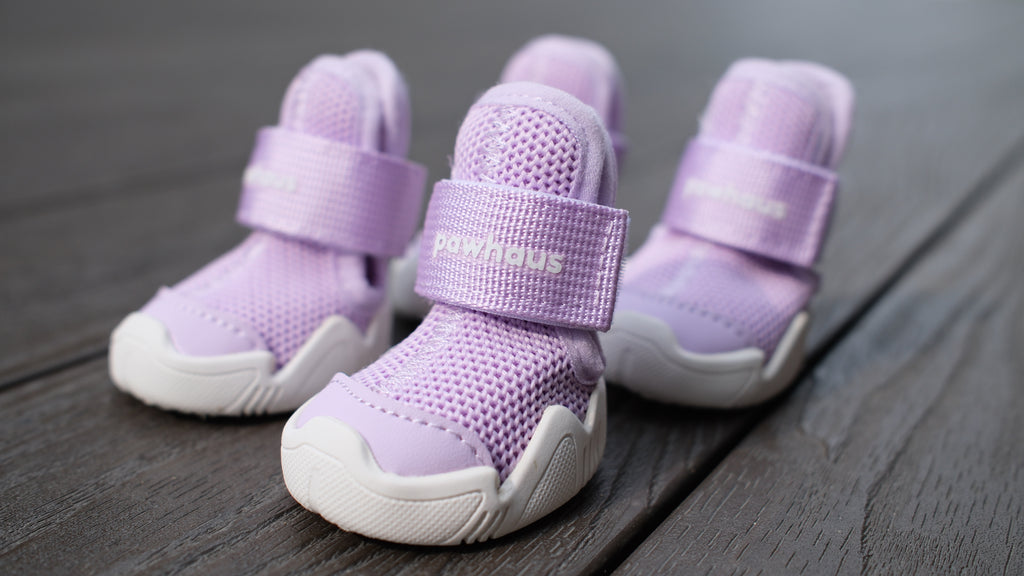 AirPaws™ Series 001 — Lightweight Breathable Dog Shoes