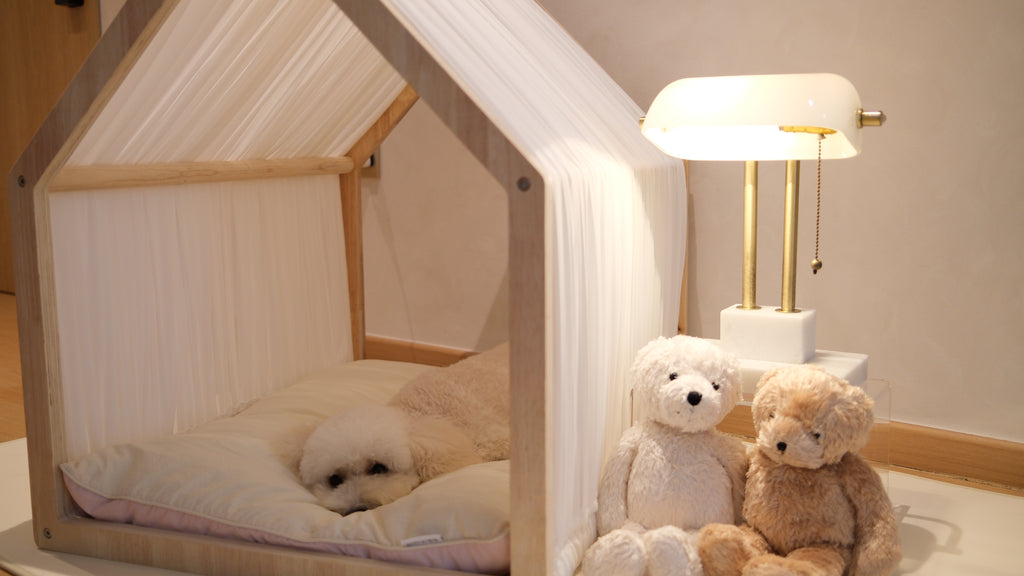 Home | Pawhaus × PawScoutSquad (Pre order, ETA 7 Dec 2026)