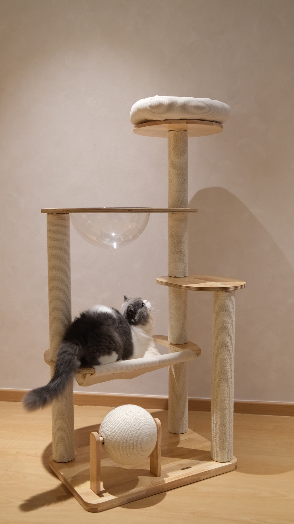 Purrch Club - Nook