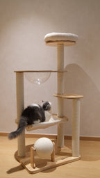 Purrch Club - Nook