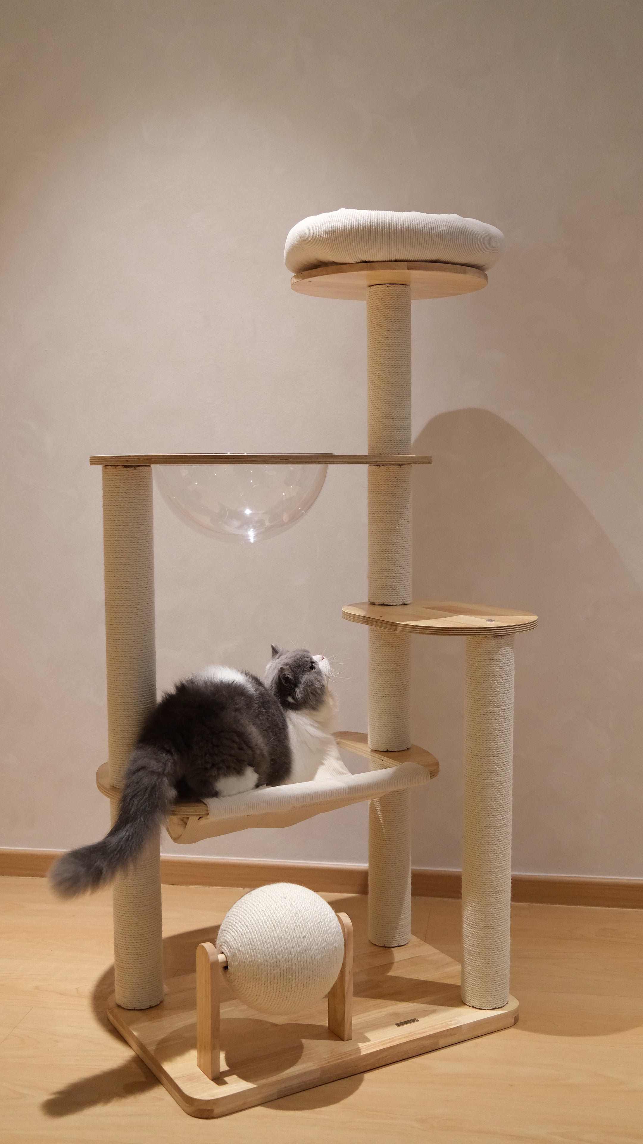 Purrch Club - Nook