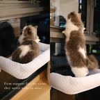 Window Perch | Cooling Window Hammock