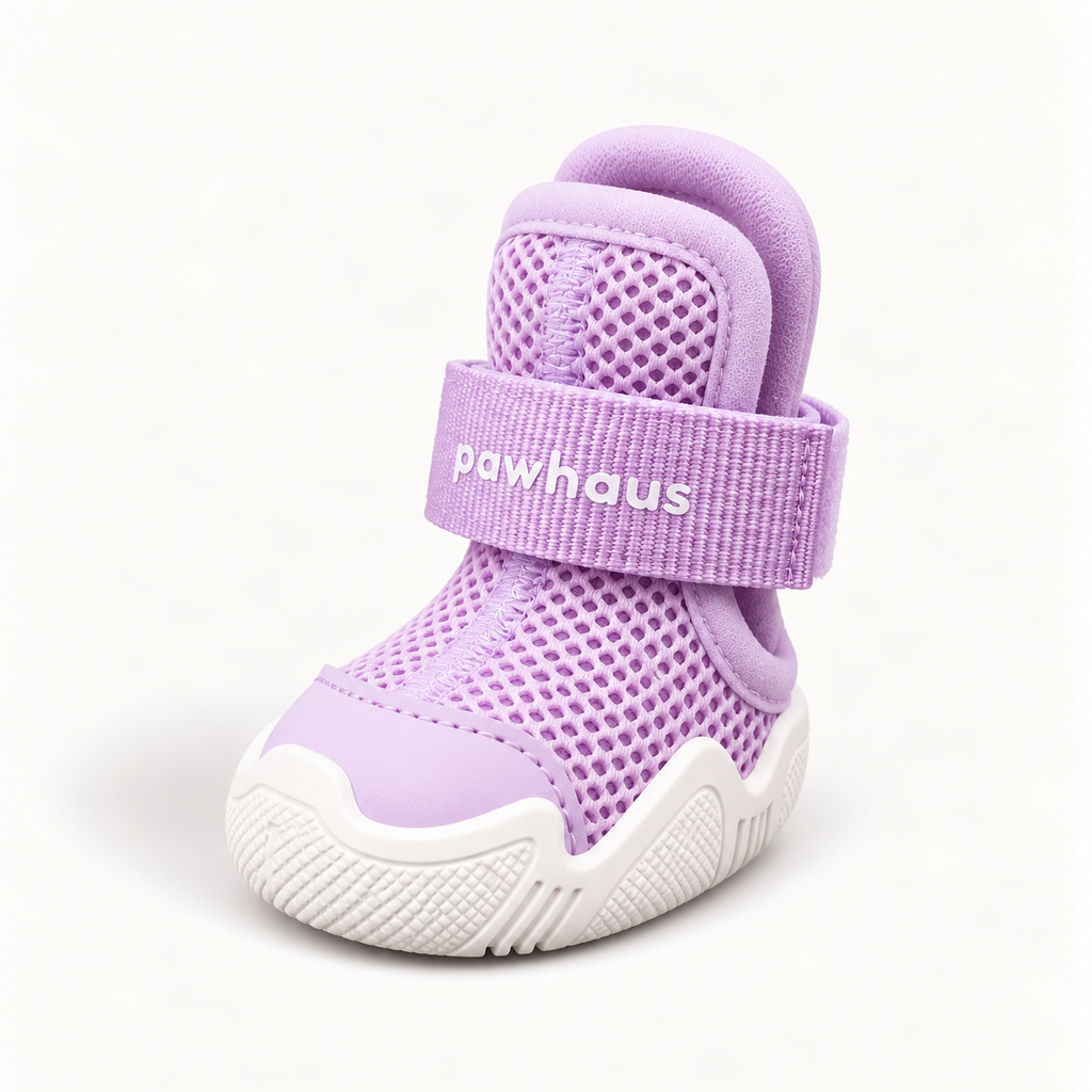 AirPaws™ Series 001 — Lilac Dream [Basic]