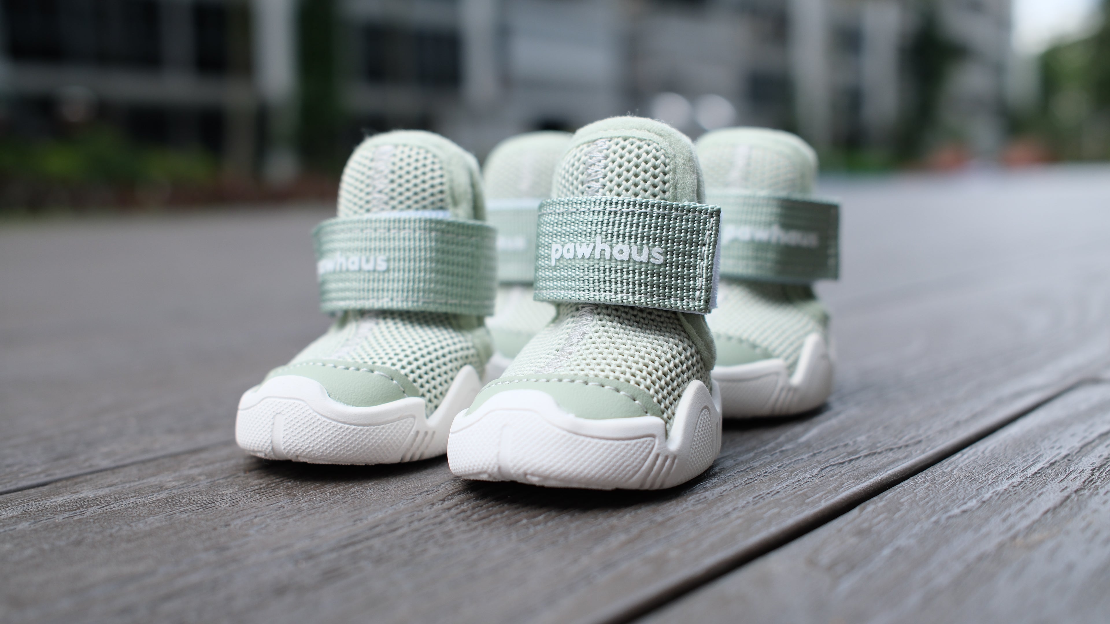 AirPaws™ Series 001 — Lightweight Breathable Dog Shoes