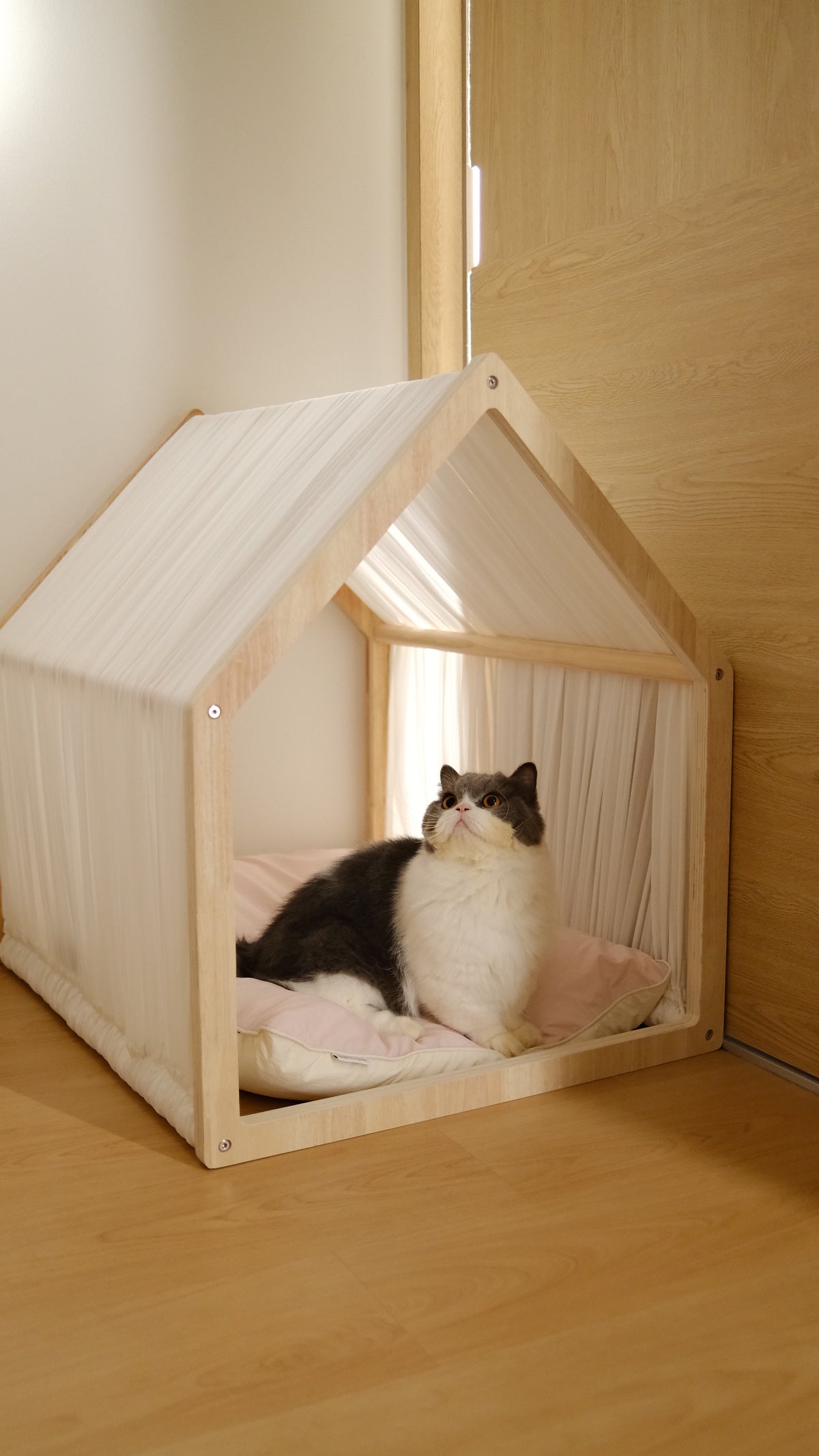 Home | Pawhaus × PawScoutSquad (Pre order, ETA 7 Dec 2026)