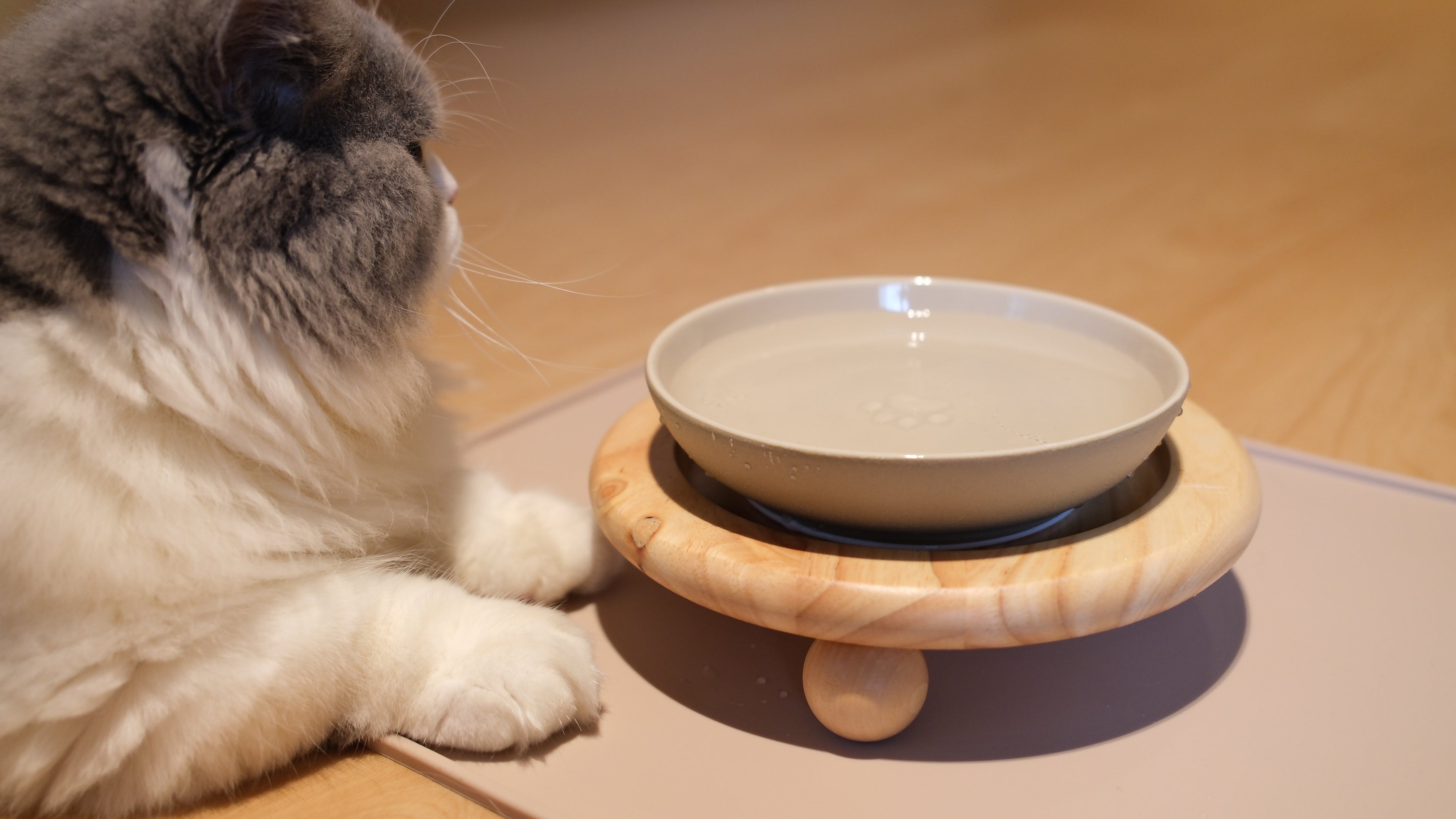 Pawhaus Tableware - Single Stand Collection