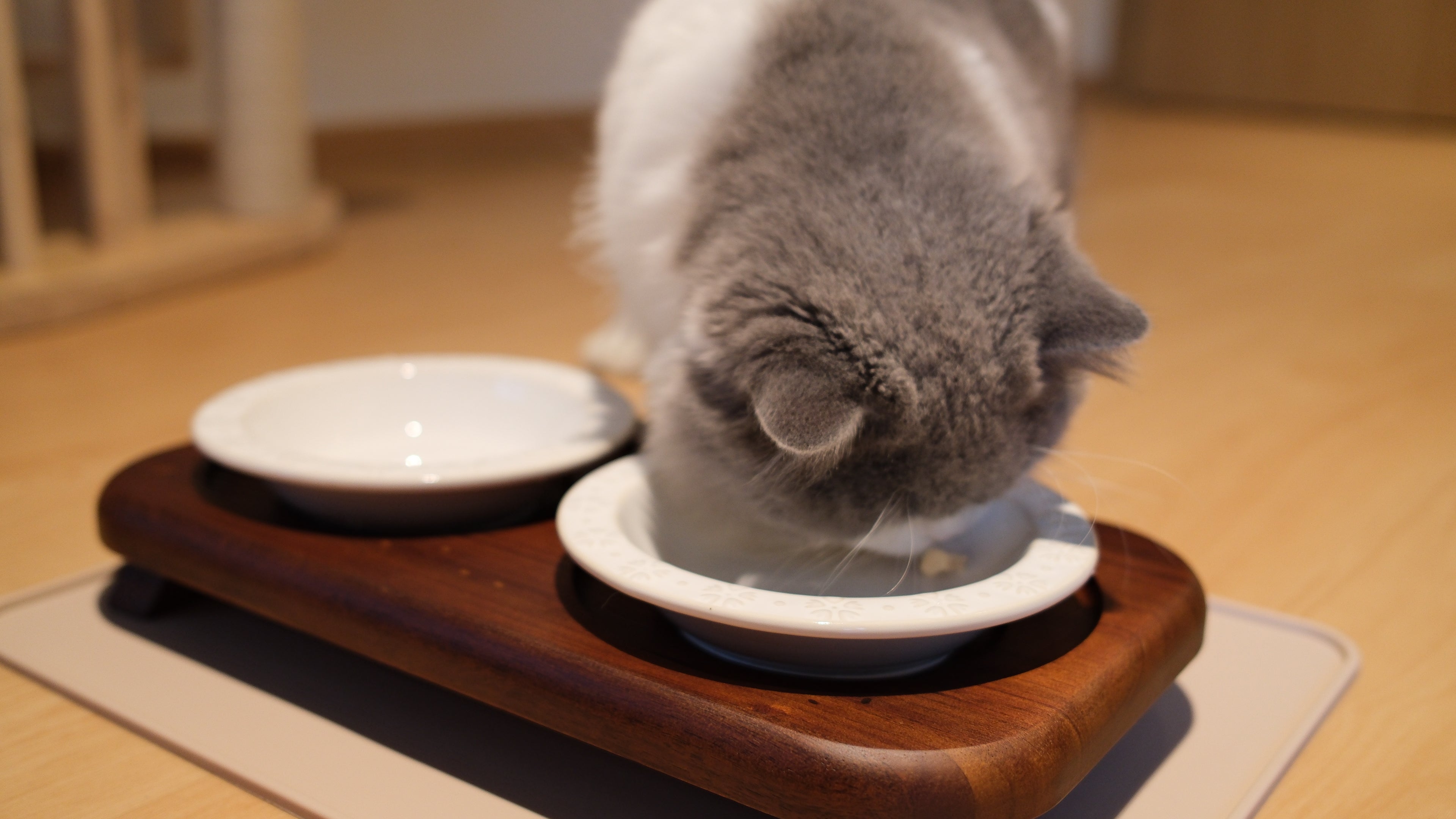 Pawhaus Tableware - Twin Stand Collection