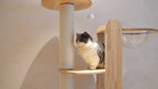 Purrch Club - Loft