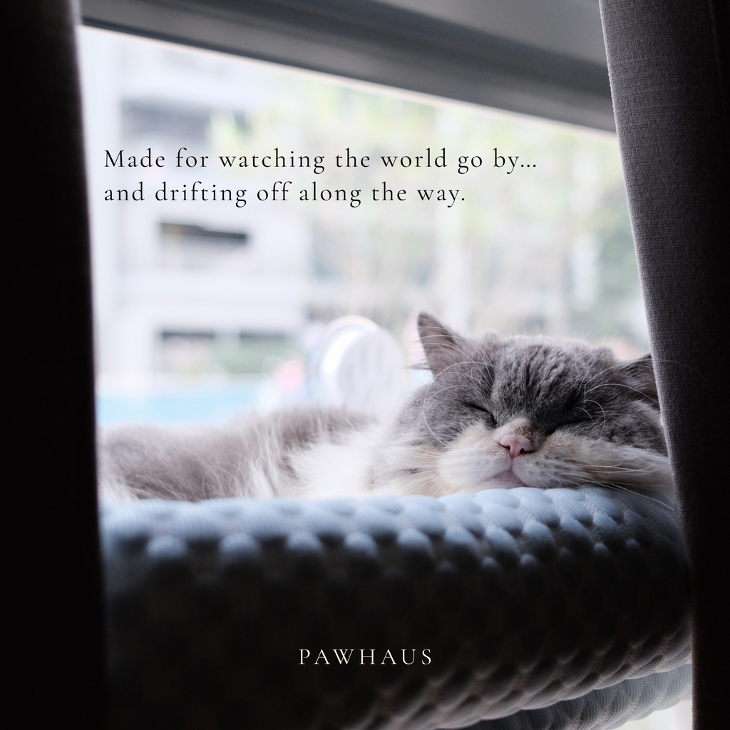Window Perch | Cooling Window Hammock