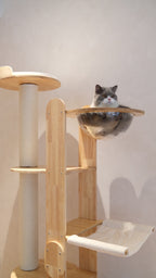 Purrch Club - Loft