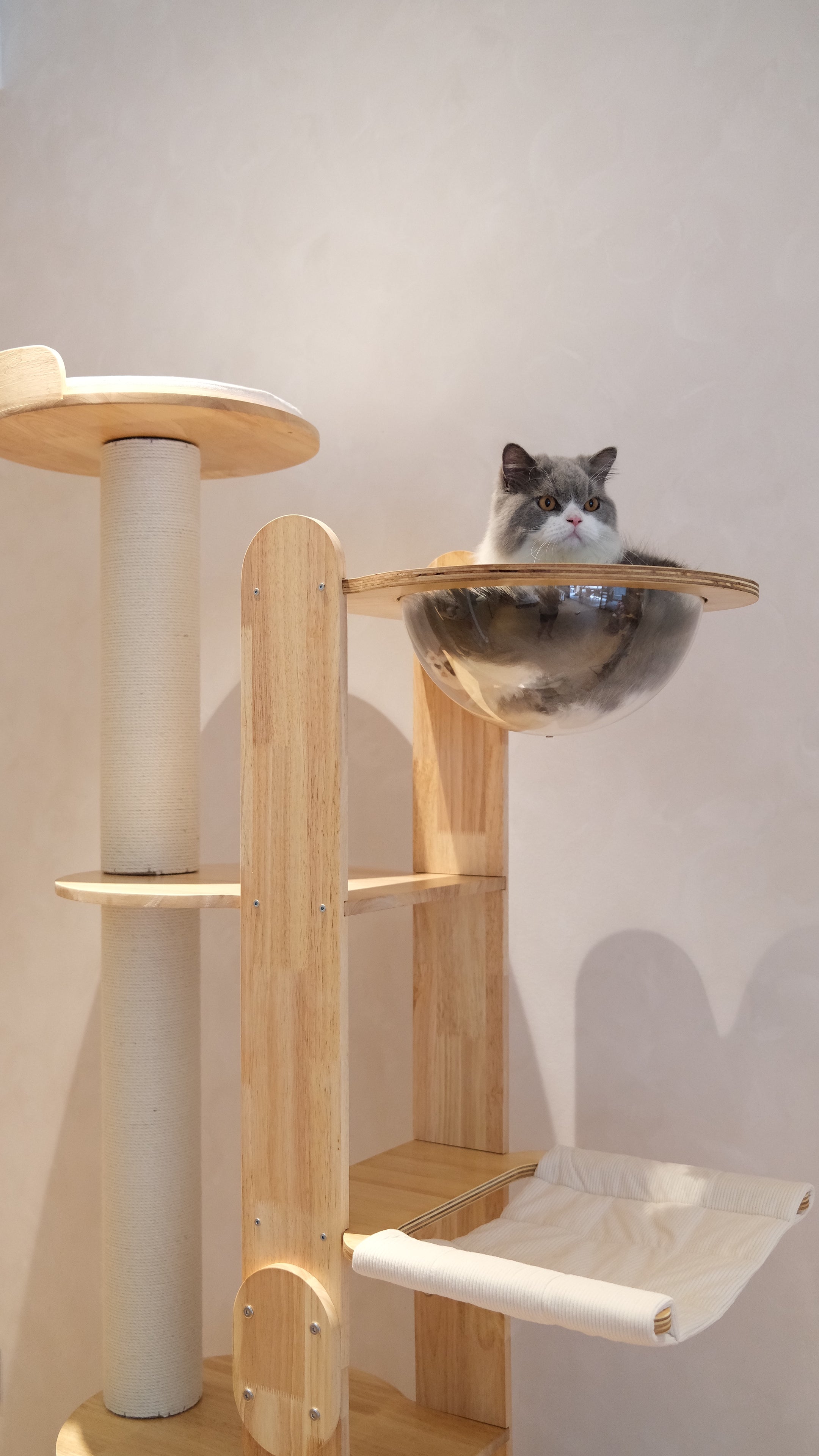 Purrch Club - Loft