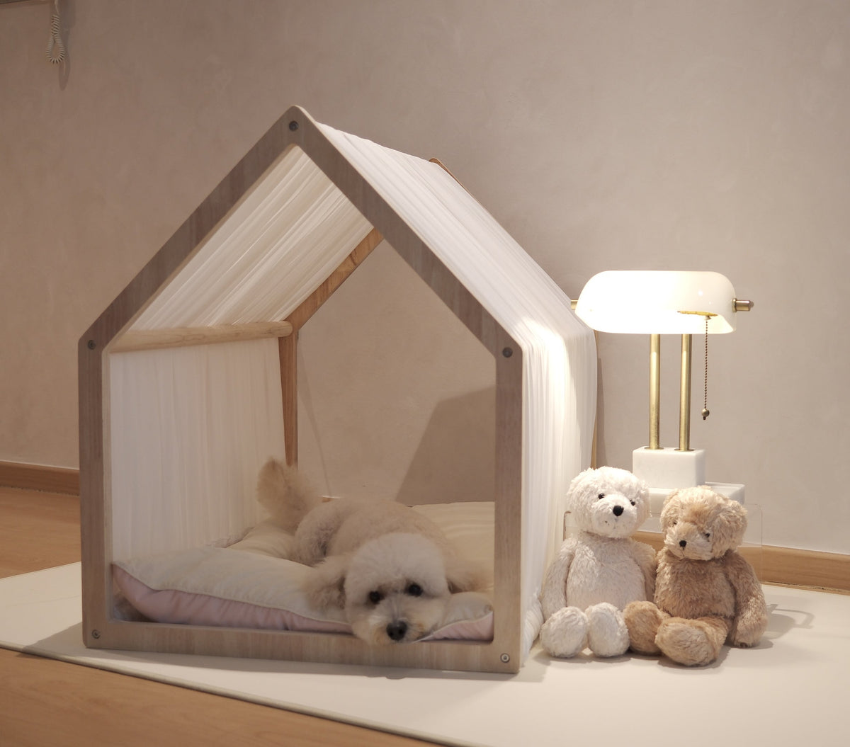 Home | Pawhaus × PawScoutSquad (Pre order, ETA 7 Dec 2026)