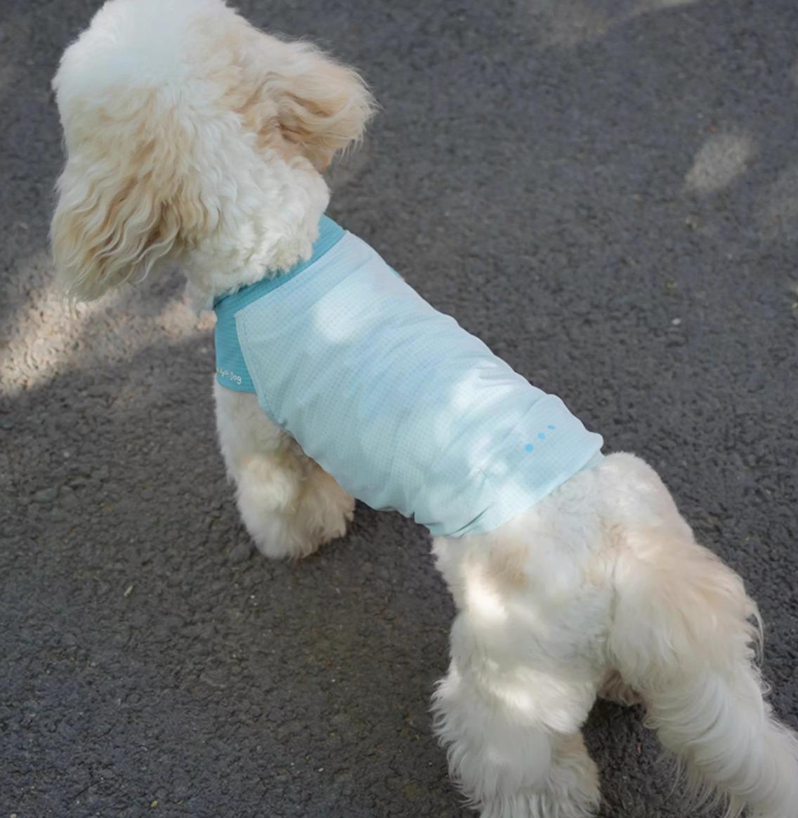 Pawhaus Ultra-Light Cooling Pet Vest
