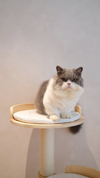 Purrch Club - Mellow