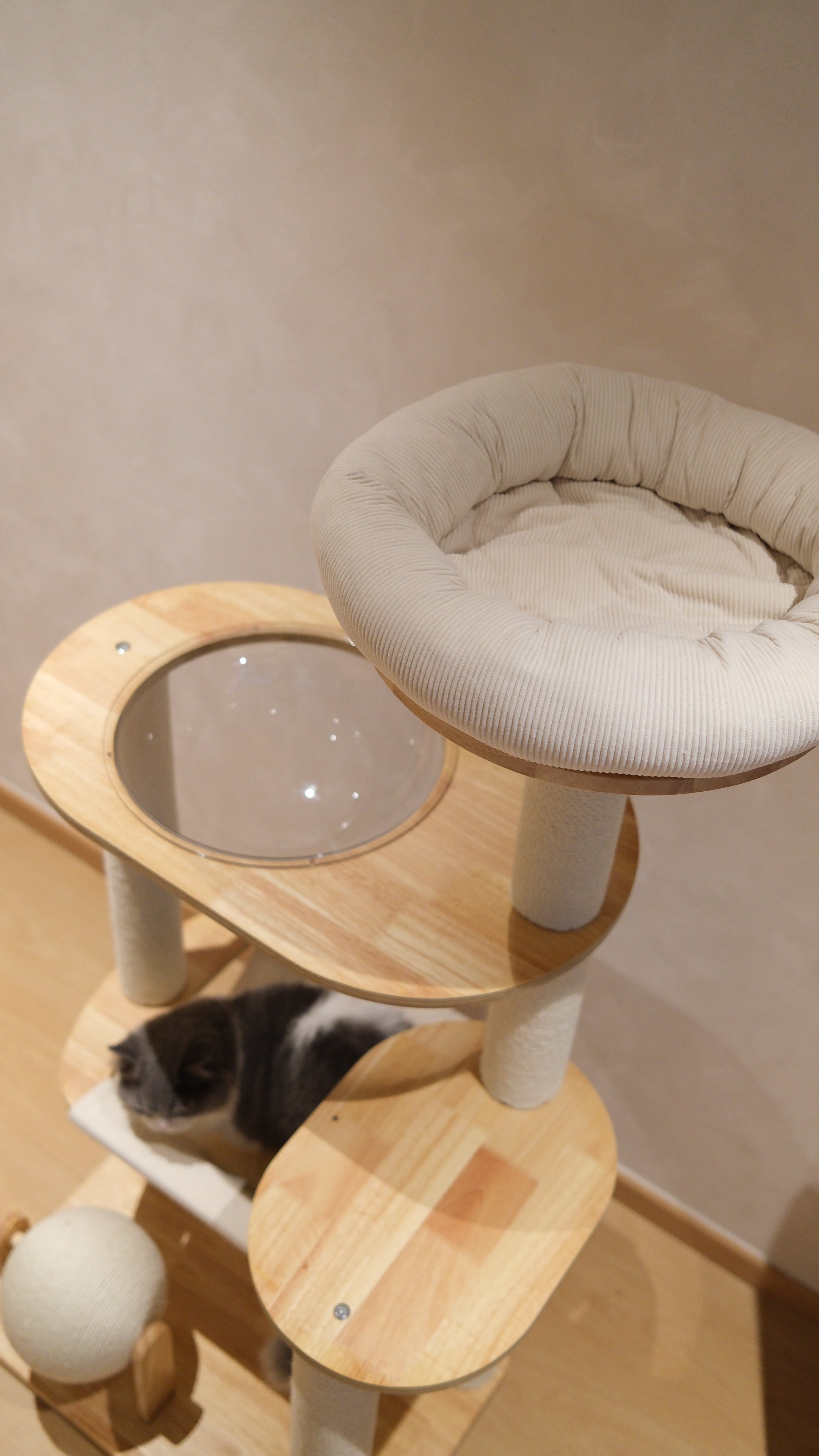 Purrch Club - Nook
