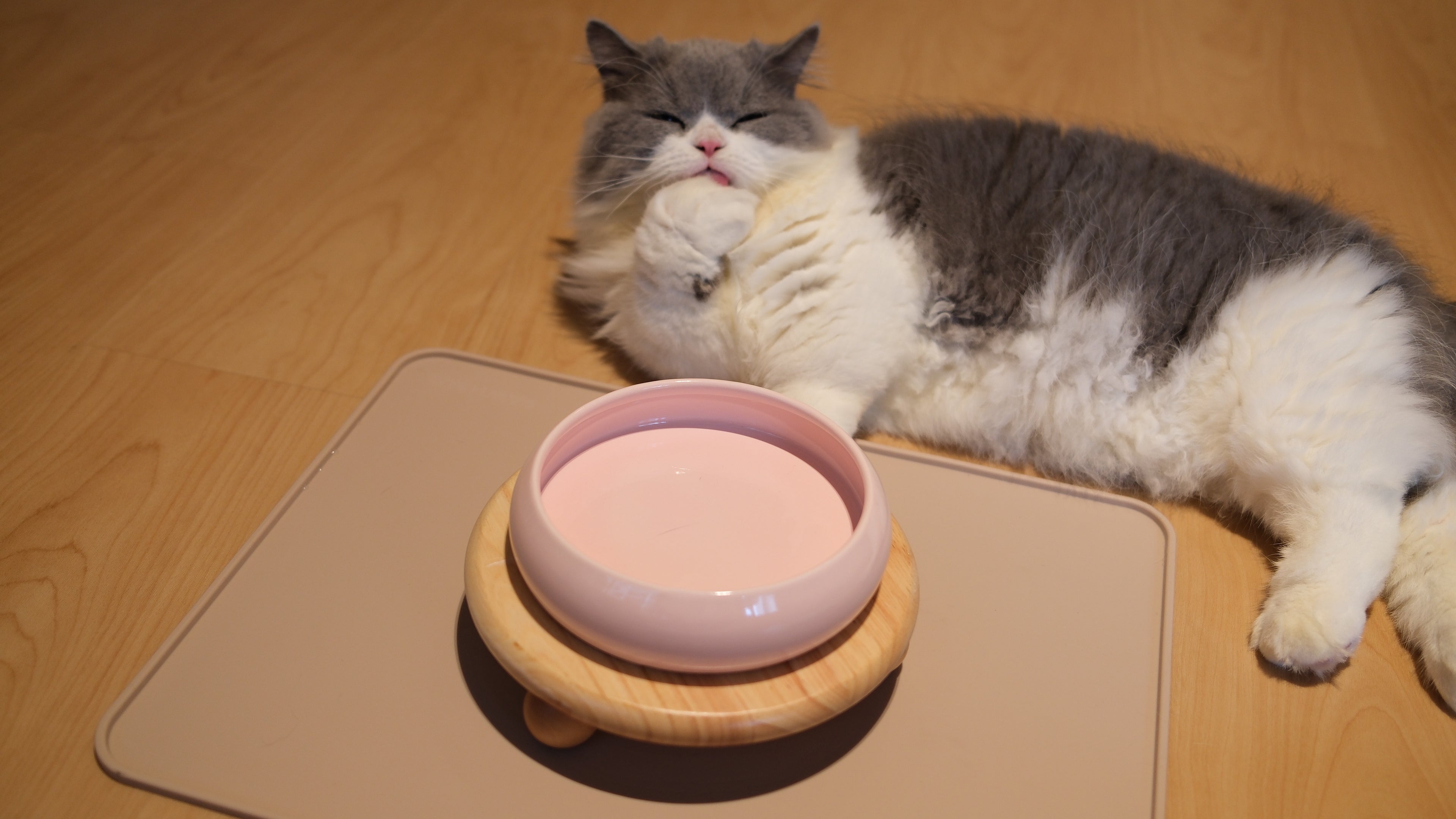 Pawhaus Tableware - Single Stand Collection