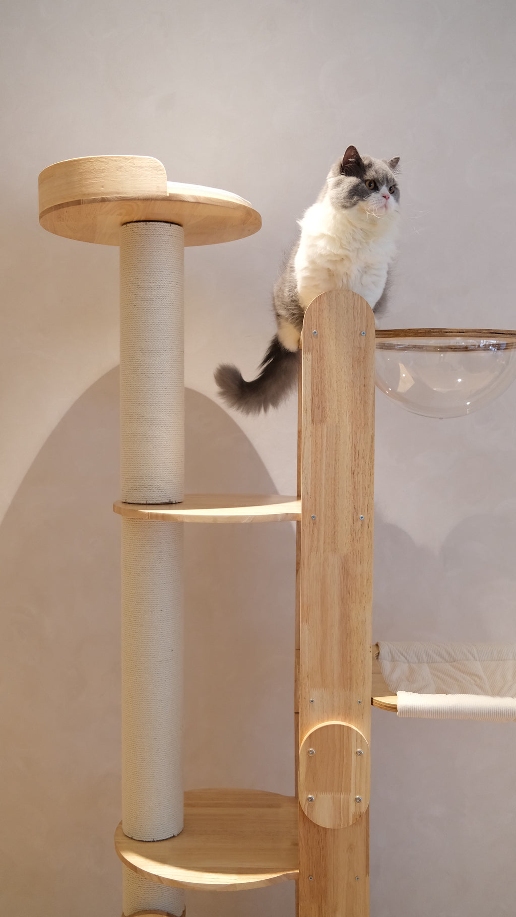 Purrch Club - Loft