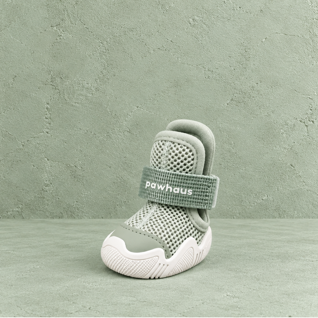 AirPaws™ Series 001 — Sage [Basic]