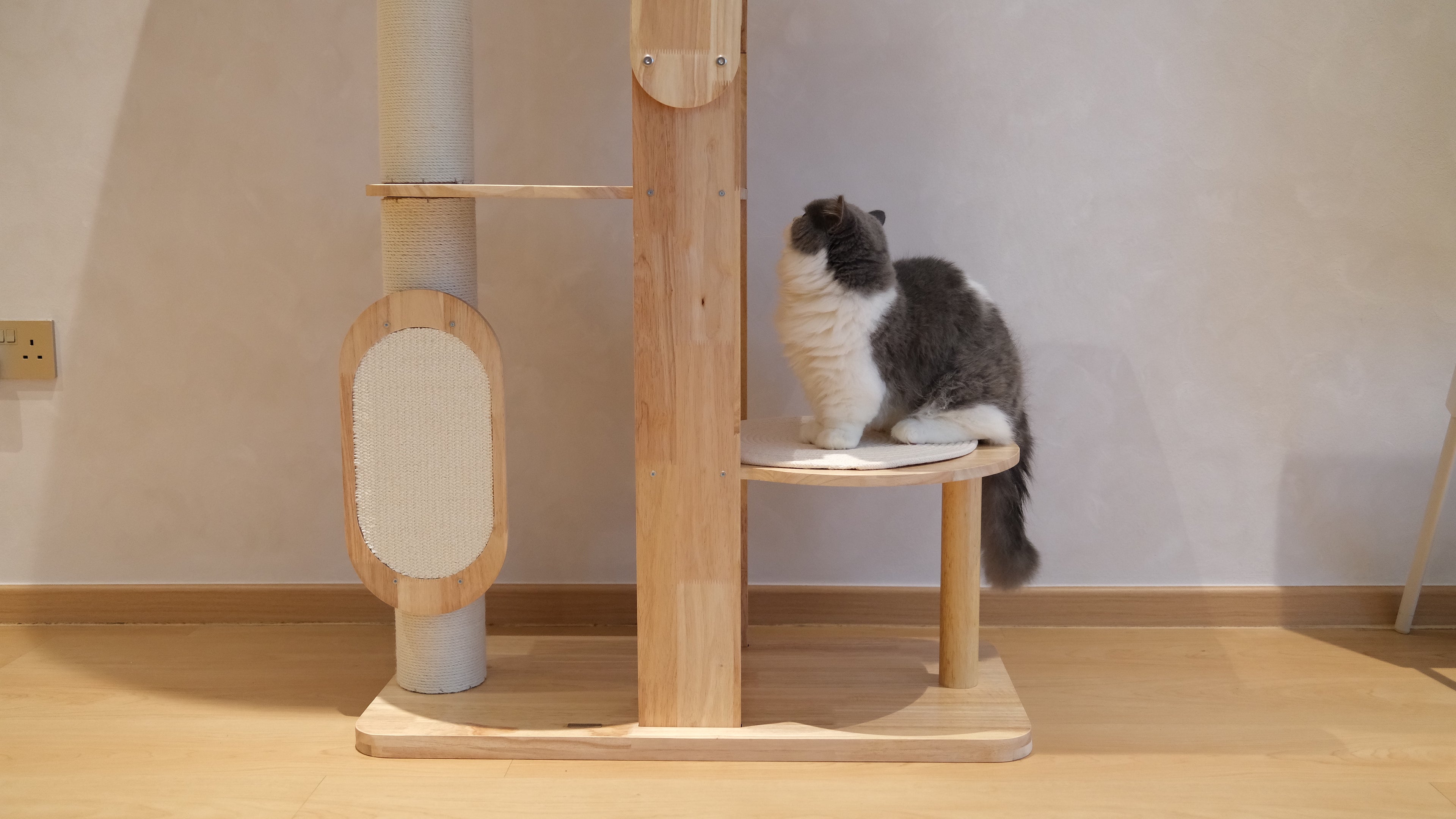 Purrch Club - Loft