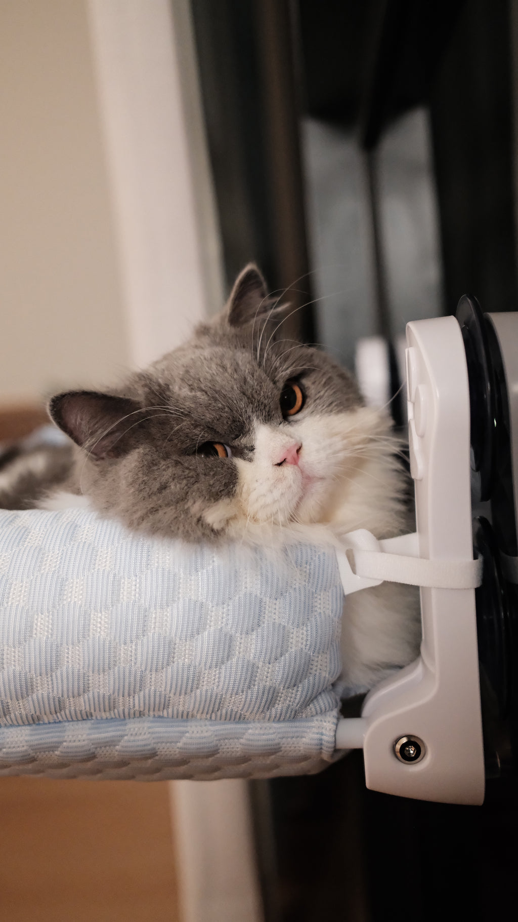 Window Perch | Cooling Window Hammock