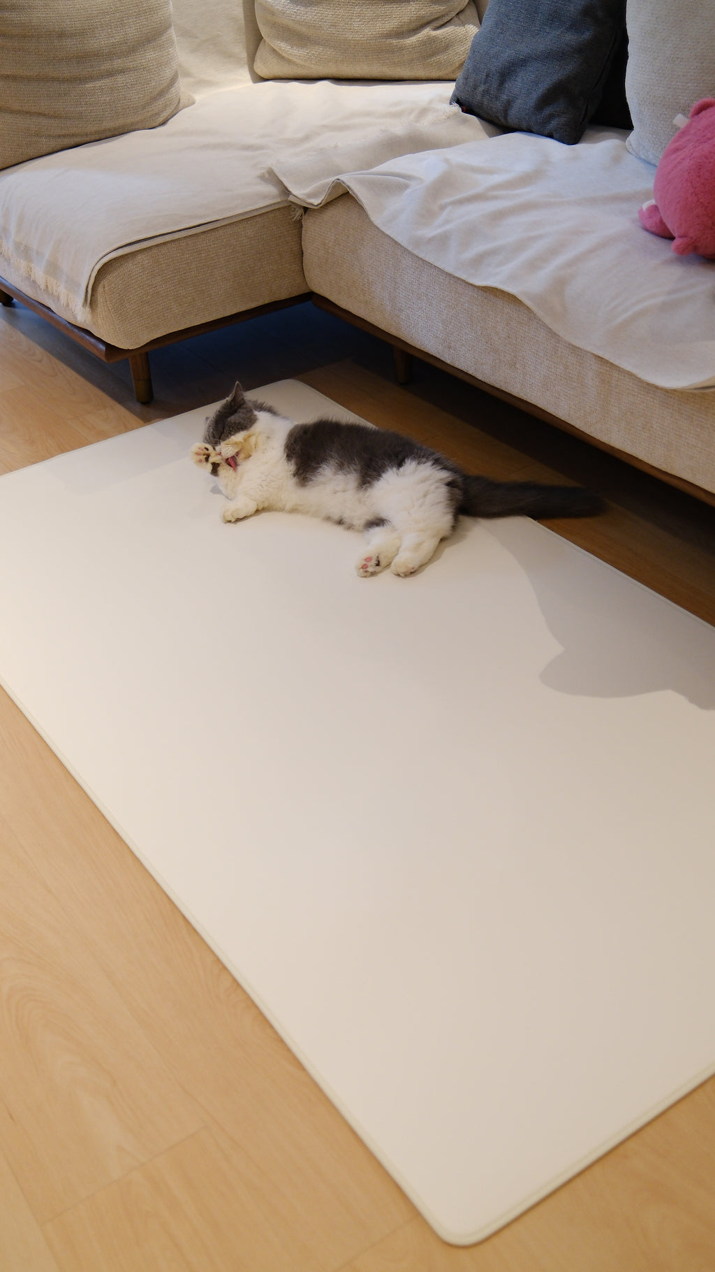 Pawhaus CloudMat™