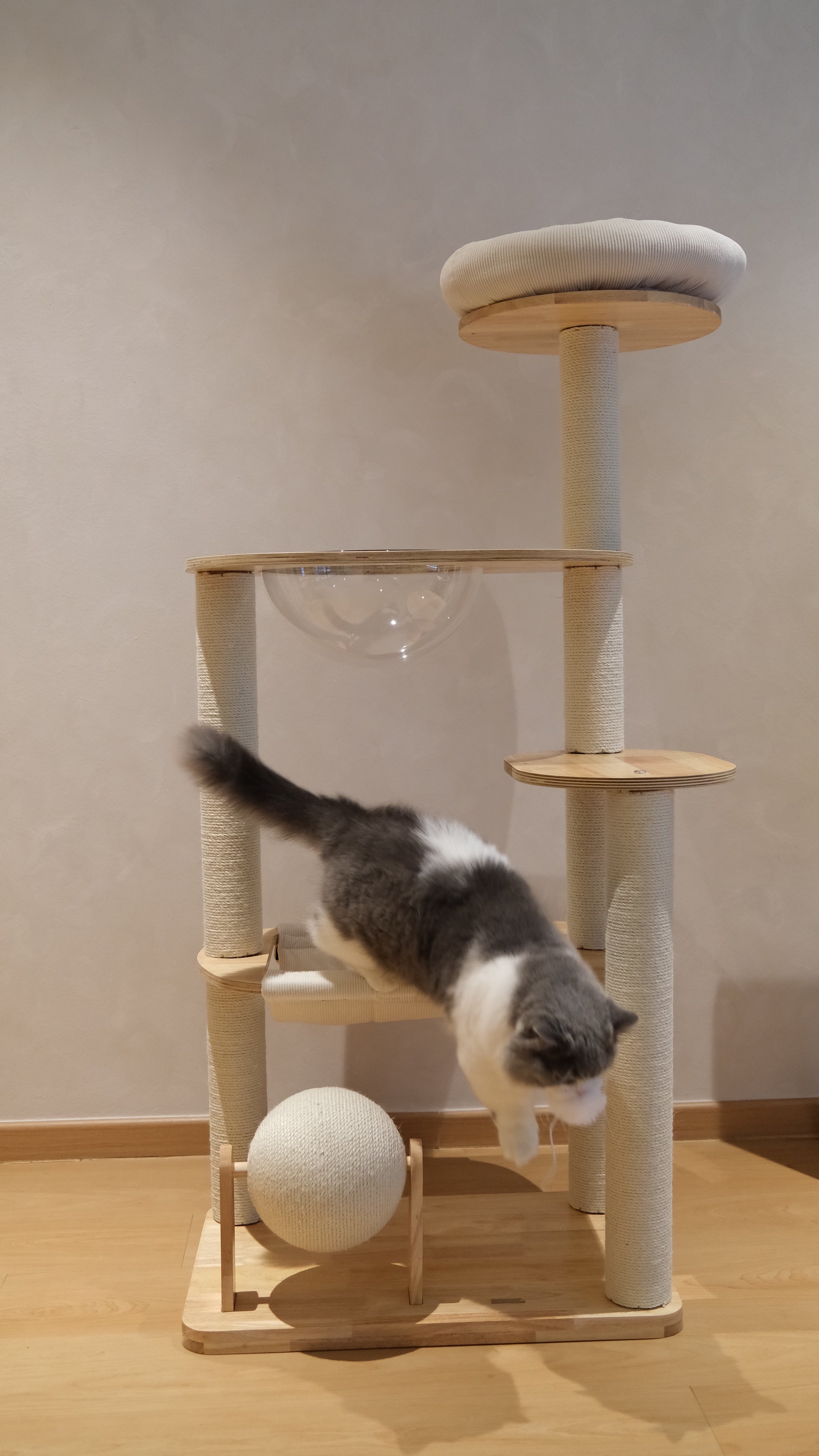 Purrch Club - Nook