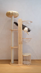 Purrch Club - Mochi