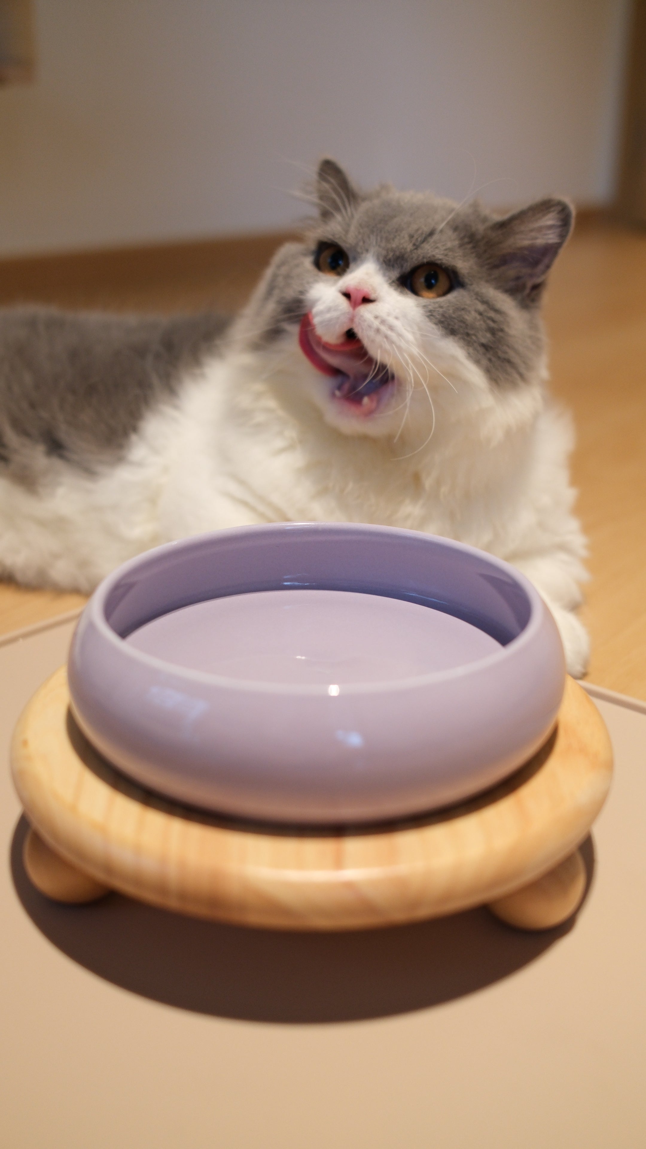 Pawhaus Tableware - Single Stand Collection