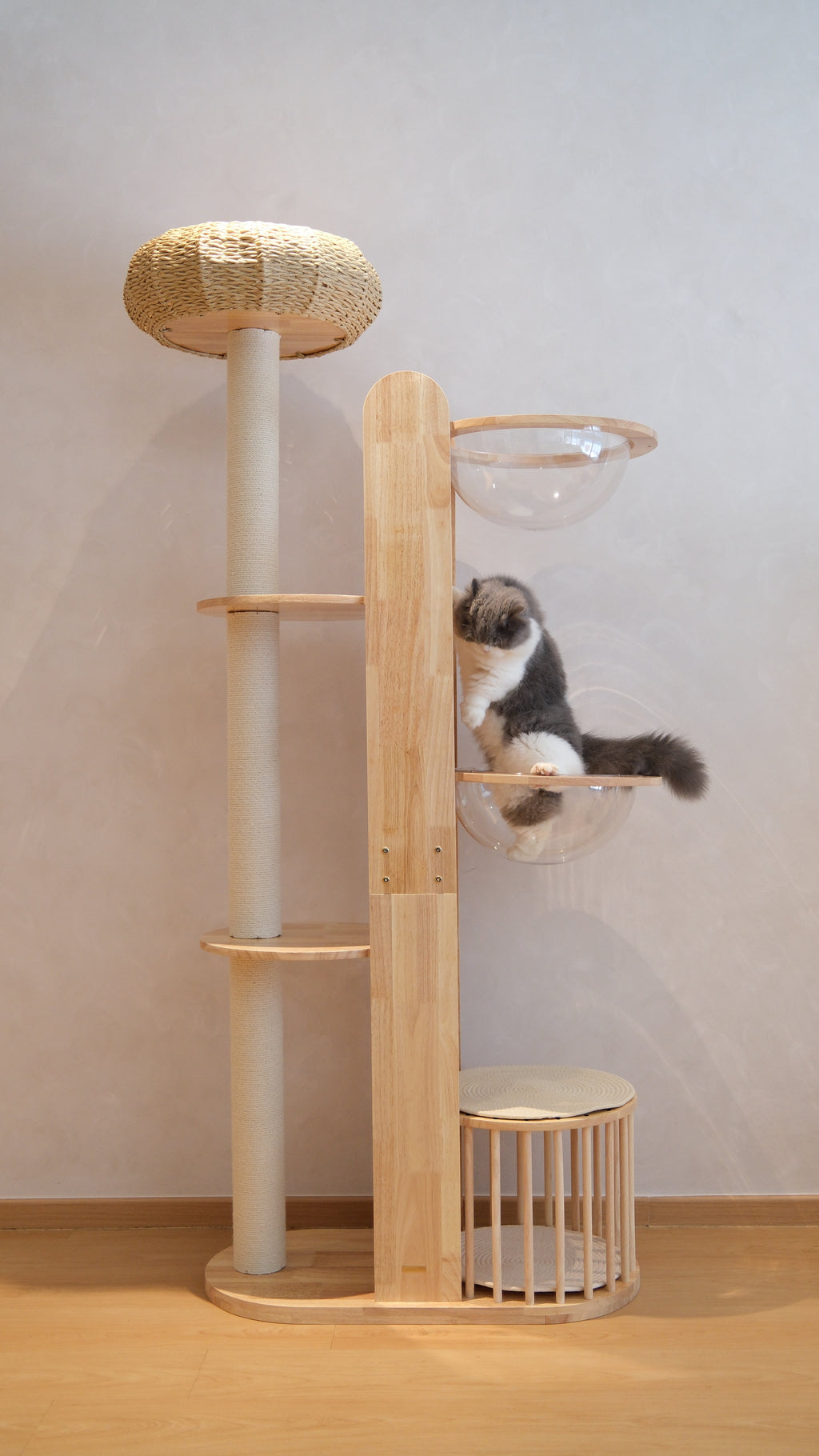 Purrch Club - Mochi