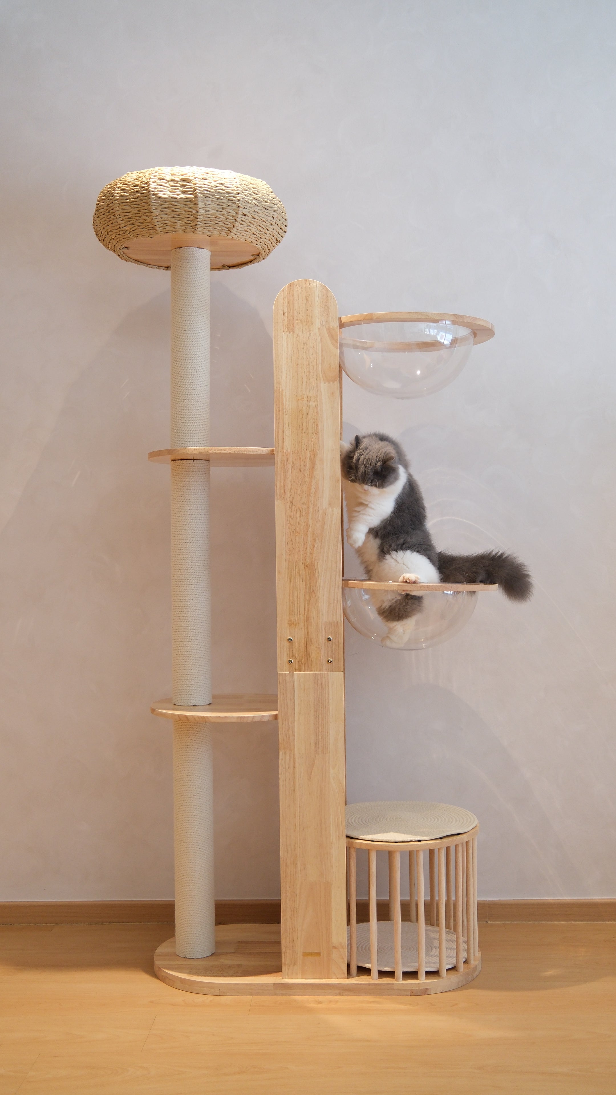 Purrch Club - Mochi