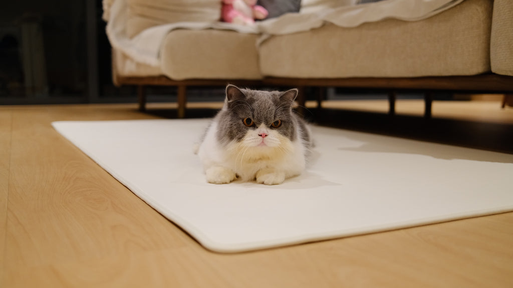 Pawhaus CloudMat™