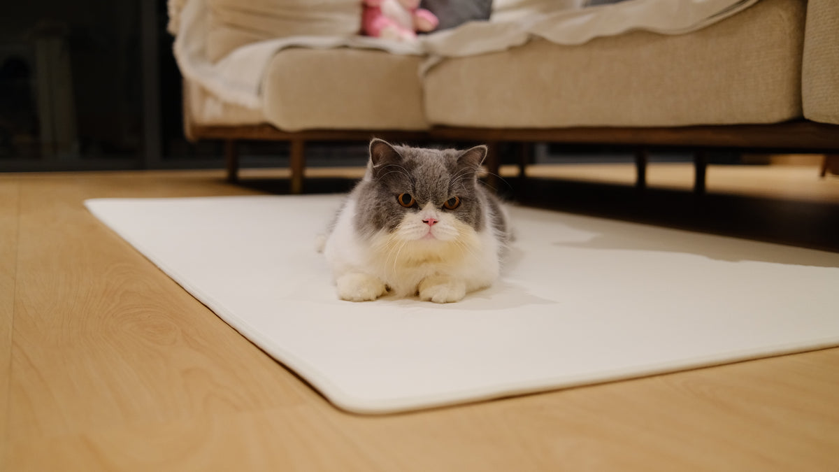 Pawhaus CloudMat™