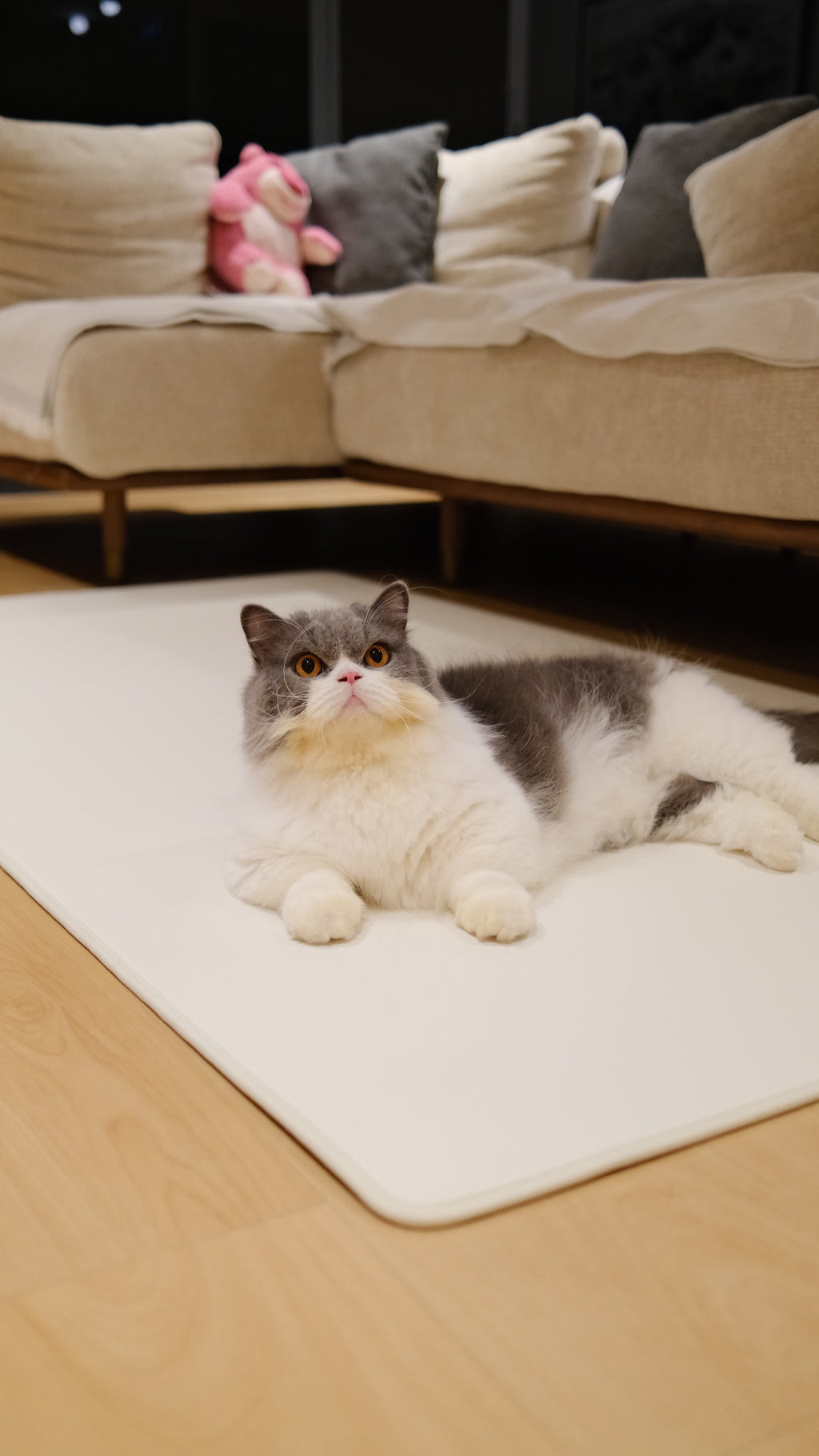 Pawhaus CloudMat™