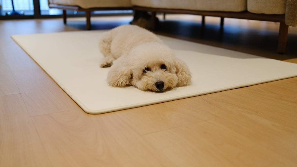 Pawhaus CloudMat™