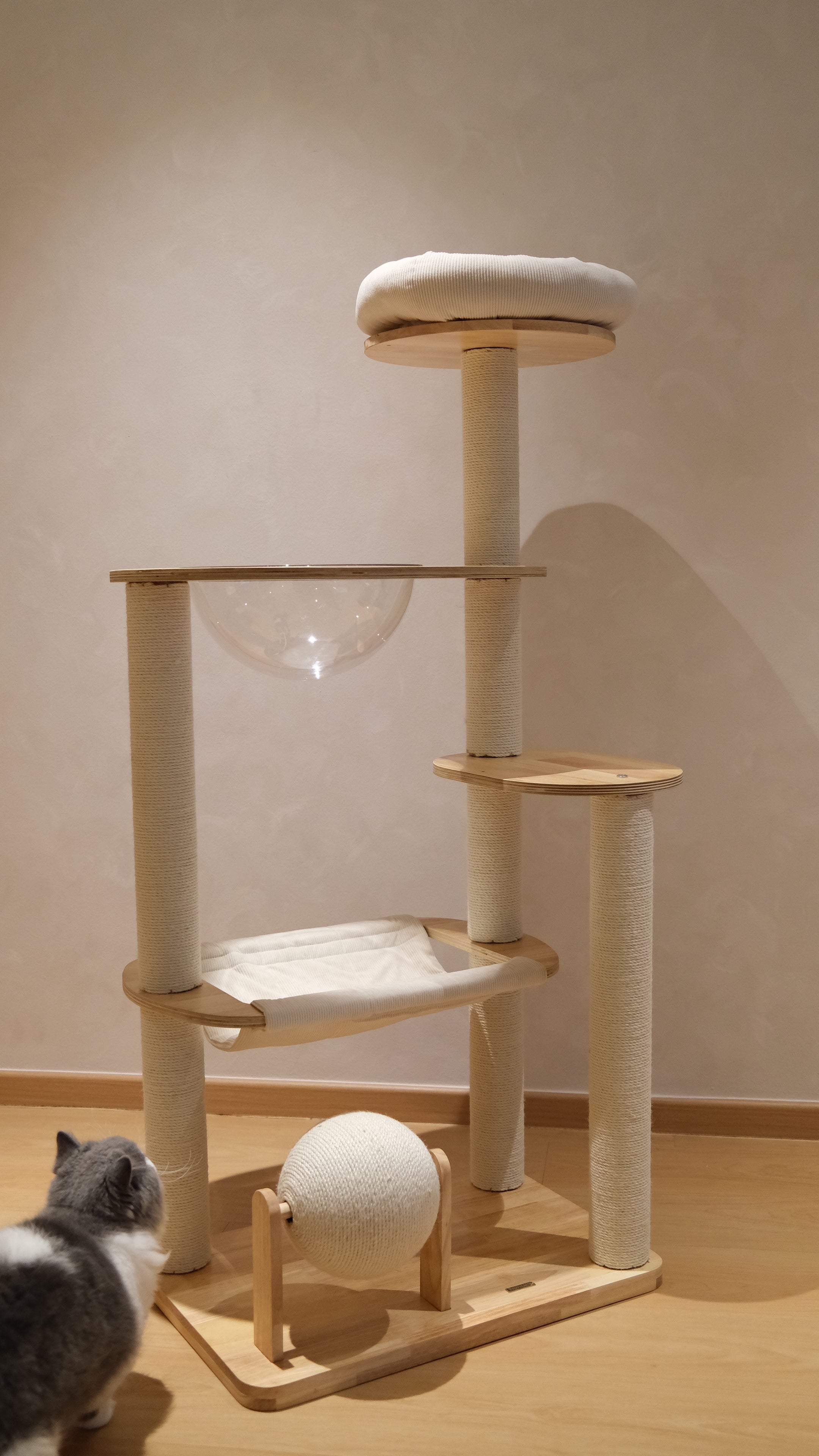 Purrch Club - Nook