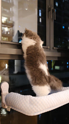 Window Perch | Cooling Window Hammock