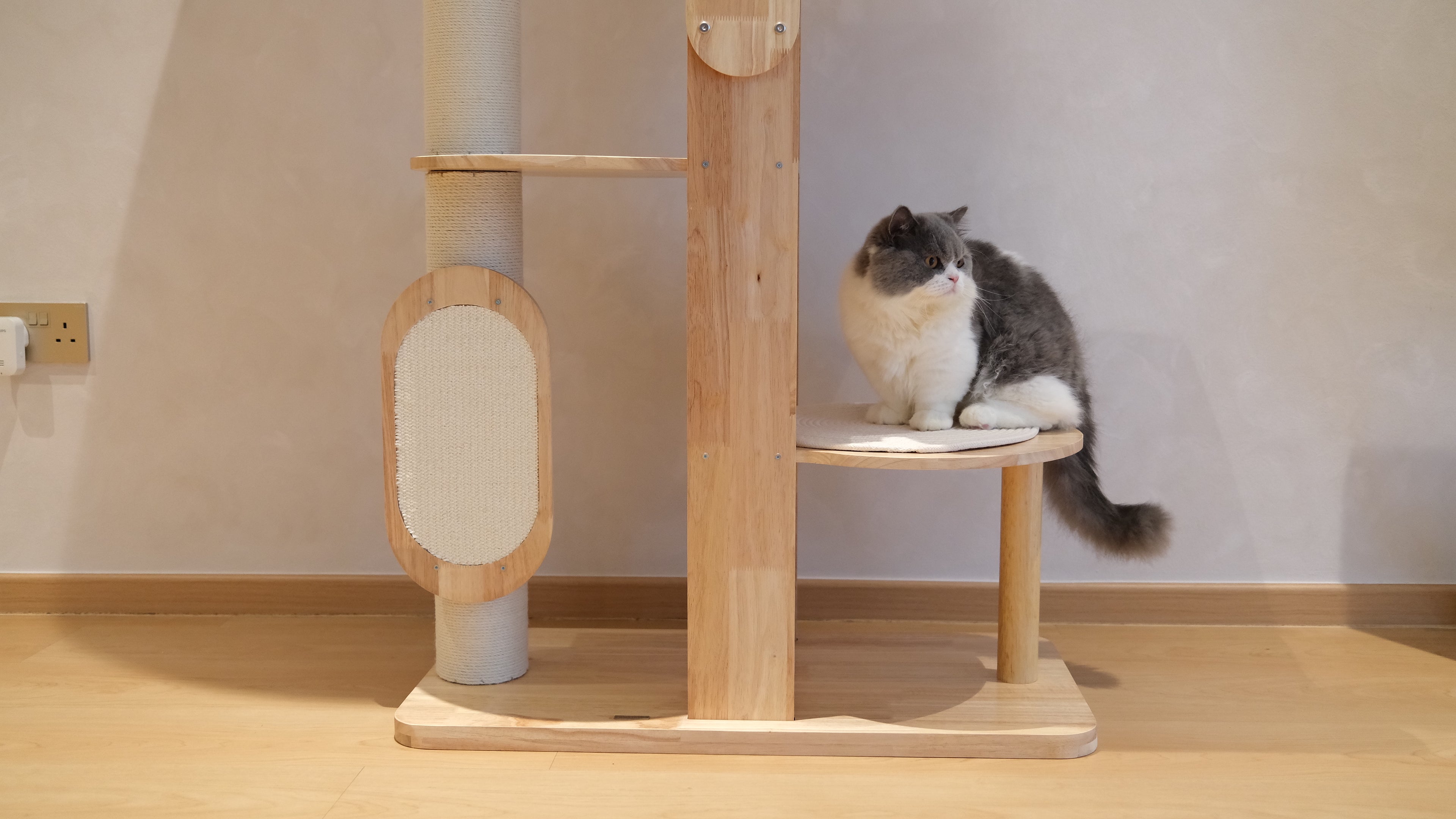Purrch Club - Loft
