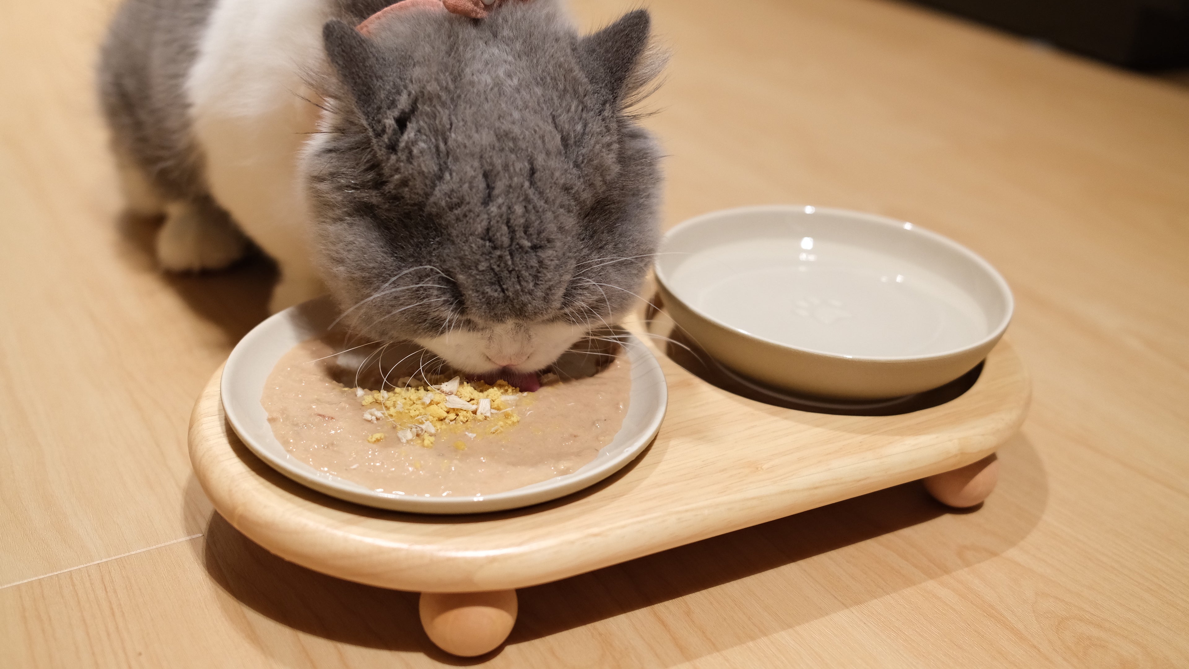 Pawhaus Tableware - Twin Stand Collection