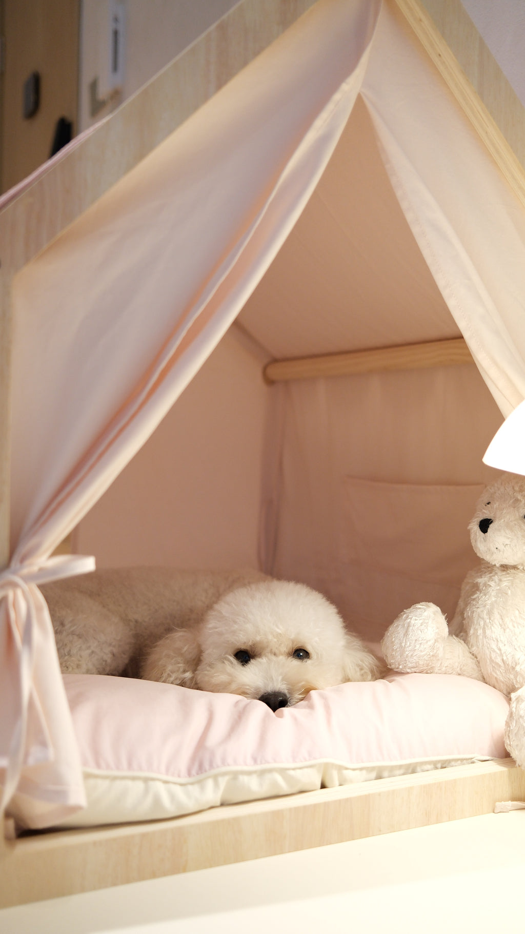 Home | Pawhaus × PawScoutSquad (Pre order, ETA 7 Dec 2026)