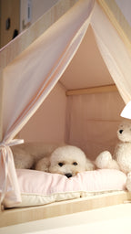 Home | Pawhaus × PawScoutSquad (Pre order, ETA 7 Dec 2026)