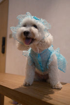 Starlight Tulle Collection