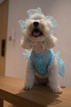 Starlight Tulle Collection