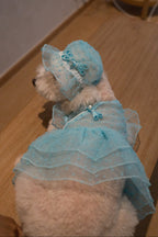 Starlight Tulle Collection